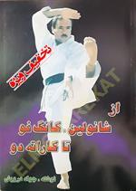 از شائولین، کانگ فو تا کاراته دو